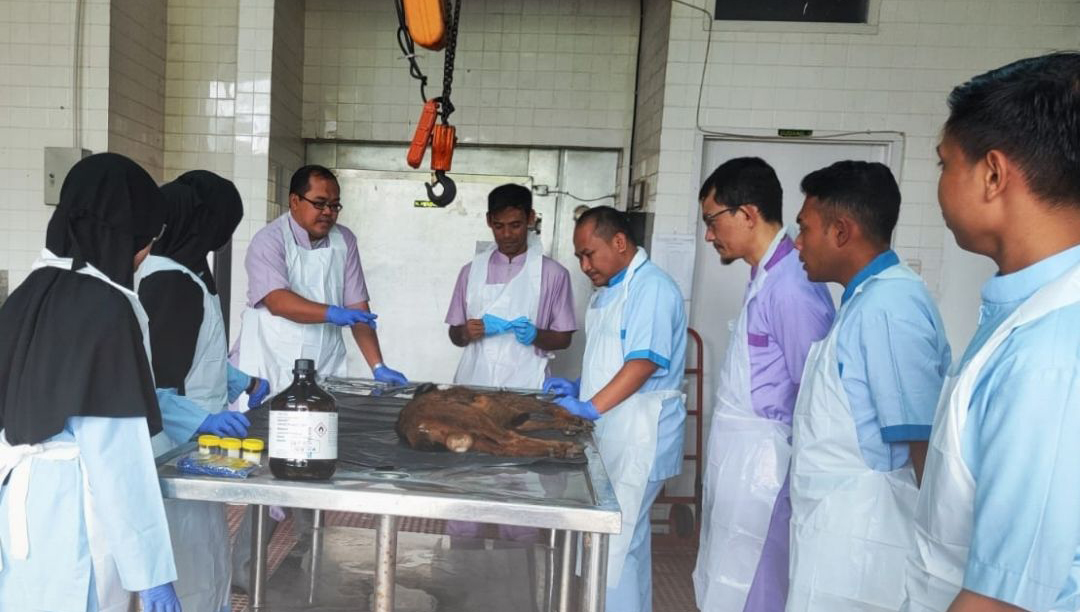 In House Training - Pelatihan Nekropsi dan Pemeriksaan Histopatologi di Balai Veteriner Bukittinggi