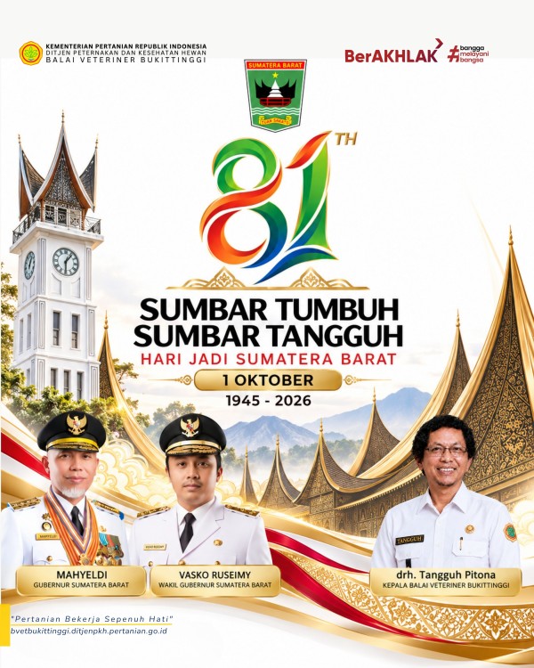 Infografis 3