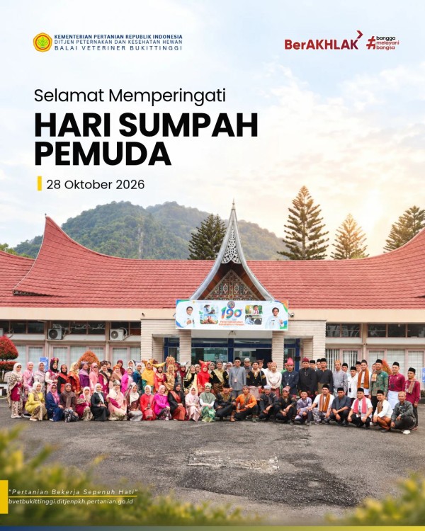 Infografis 2