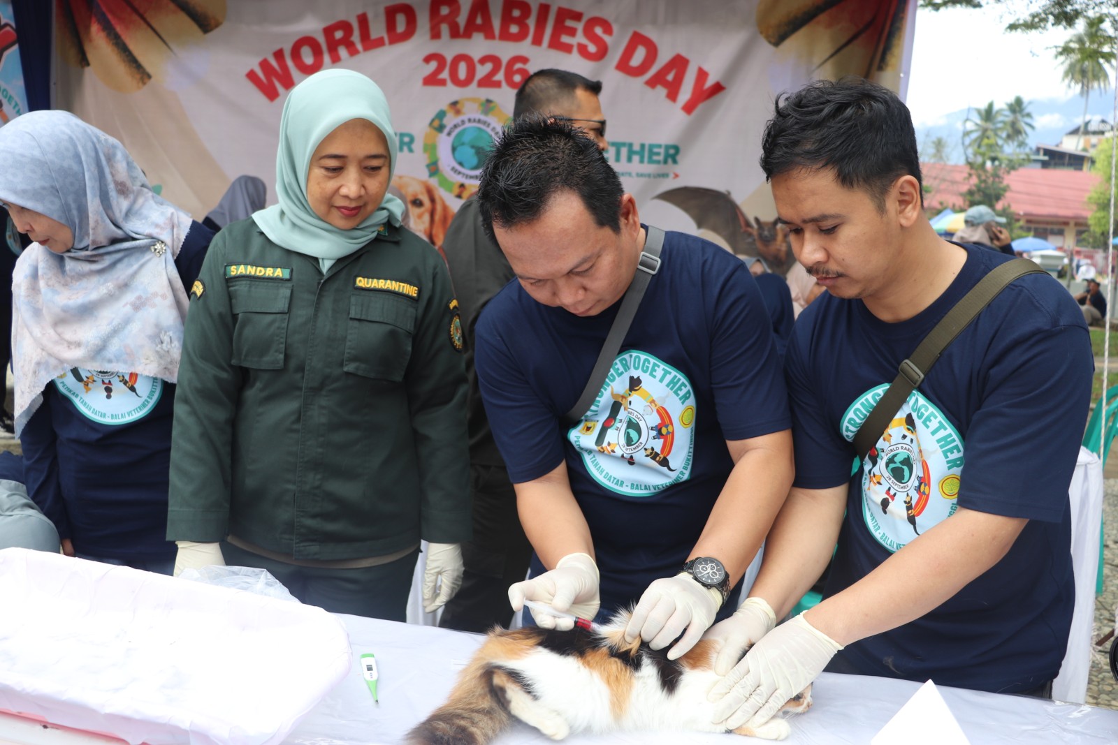 Kementan Perkuat Pengendalian Rabies di Tanah Datar, Vaksinasi HPR Jadi Garda Perlindungan Masyarakat