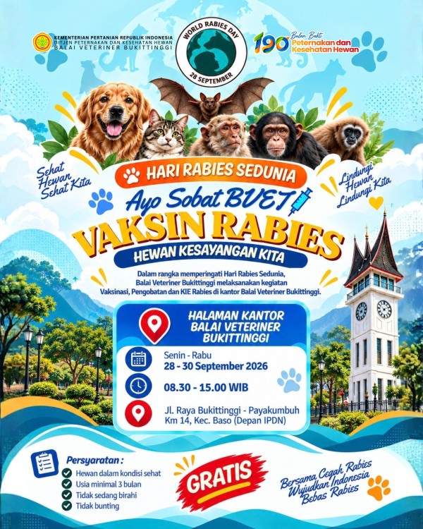 Infografis 4